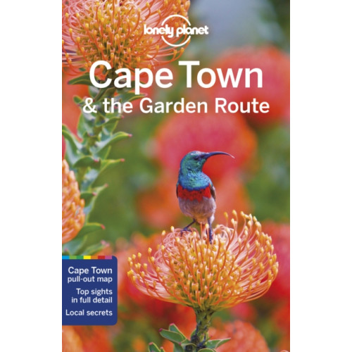 Lonely Planet Global Limited Lonely Planet Cape Town & the Garden Route (häftad, eng)