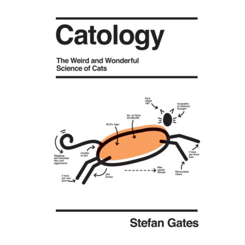 Quadrille Publishing Ltd Catology (inbunden, eng)