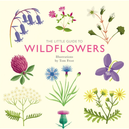 Quadrille Publishing Ltd The Little Guide to Wildflowers (inbunden, eng)