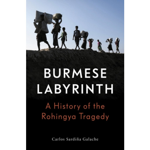 Verso Books The Burmese Labyrinth (inbunden, eng)