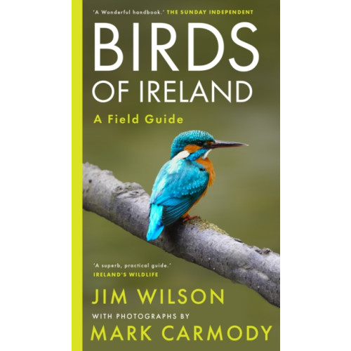 Gill Birds of Ireland (häftad, eng)