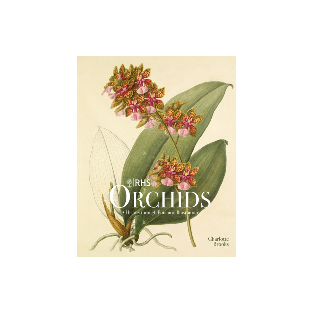Produktbild för RHS Orchids (inbunden, eng)