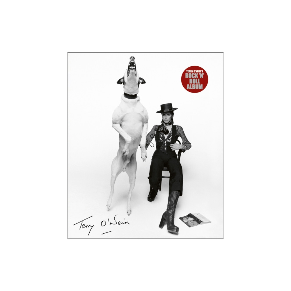 Produktbild för Terry O'Neill's Rock 'n' Roll Album (inbunden, eng)