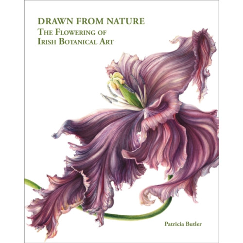 ACC Art Books Drawn From Nature (inbunden, eng)
