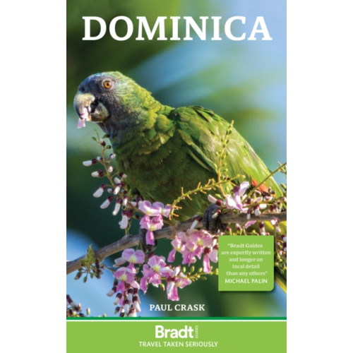 Bradt Travel Guides Dominica (häftad, eng)