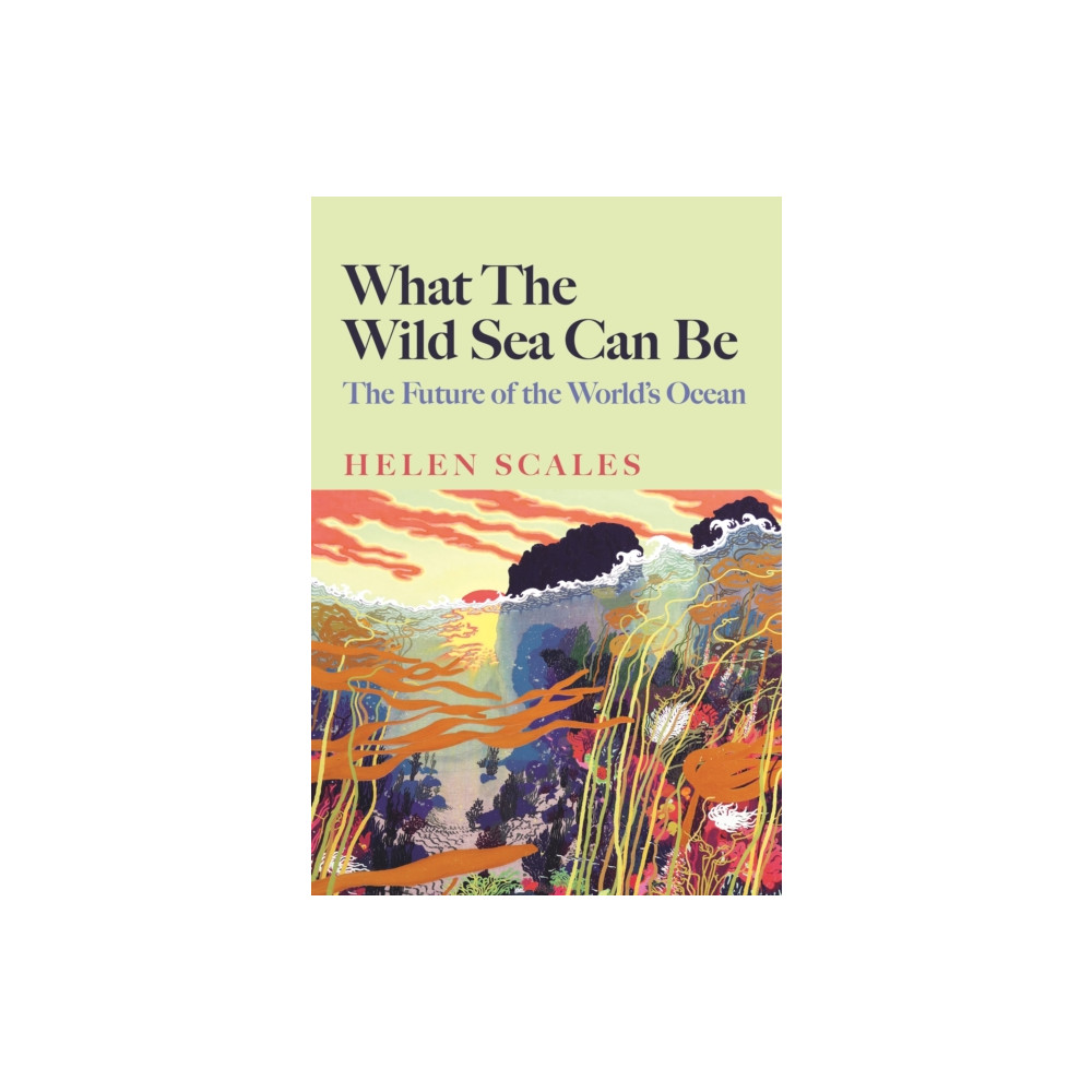Produktbild för What the Wild Sea Can Be (inbunden, eng)