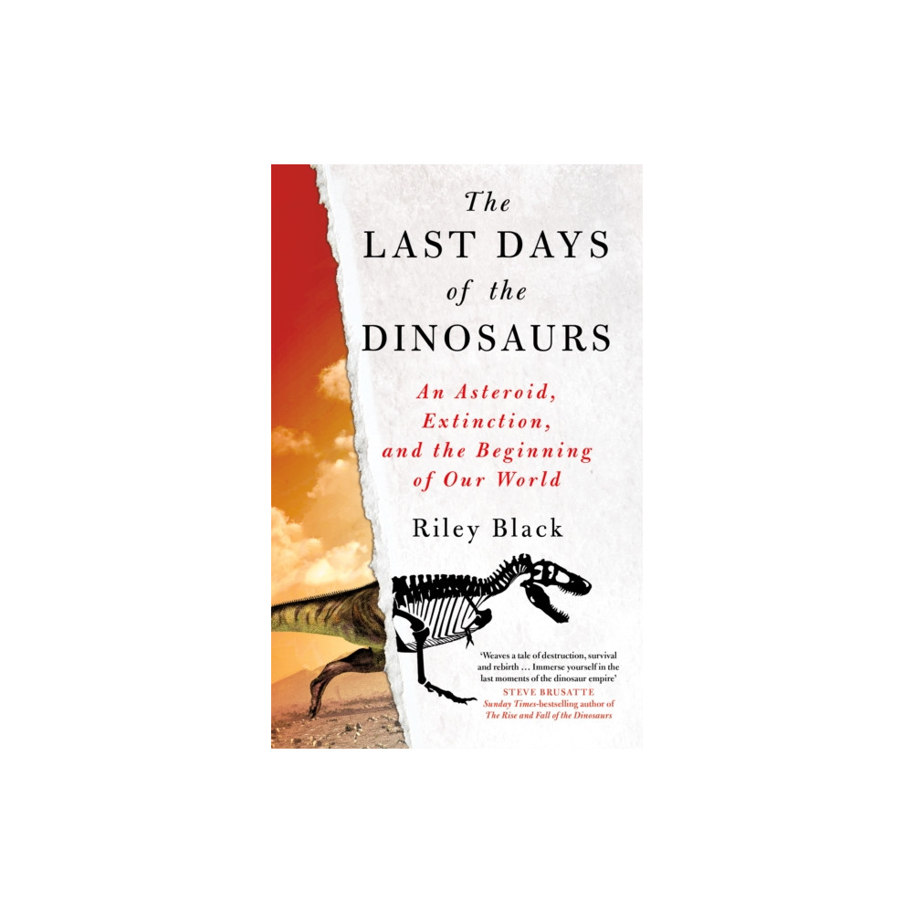 Produktbild för The Last Days of the Dinosaurs (häftad, eng)