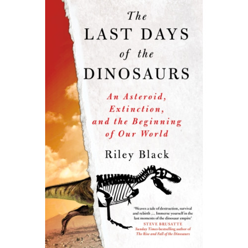 The History Press Ltd The Last Days of the Dinosaurs (häftad, eng)