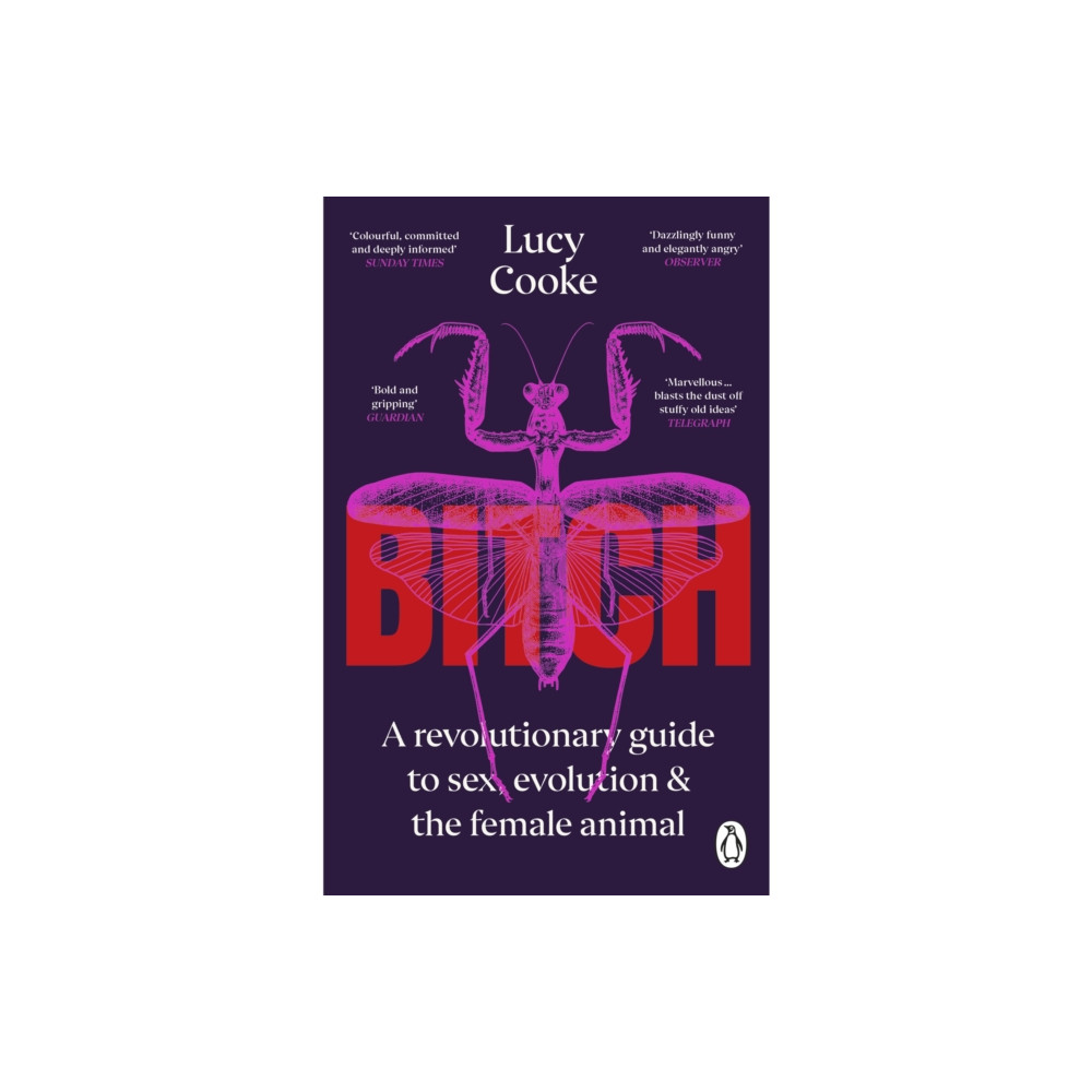 Produktbild för Bitch (häftad, eng)