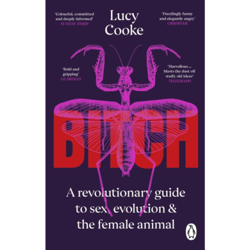 Transworld publishers ltd Bitch (häftad, eng)
