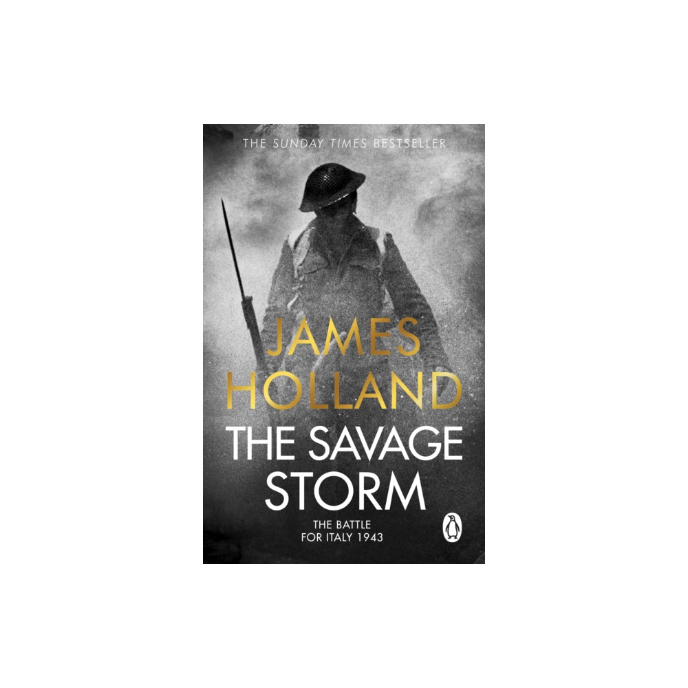 Produktbild för The Savage Storm (häftad, eng)
