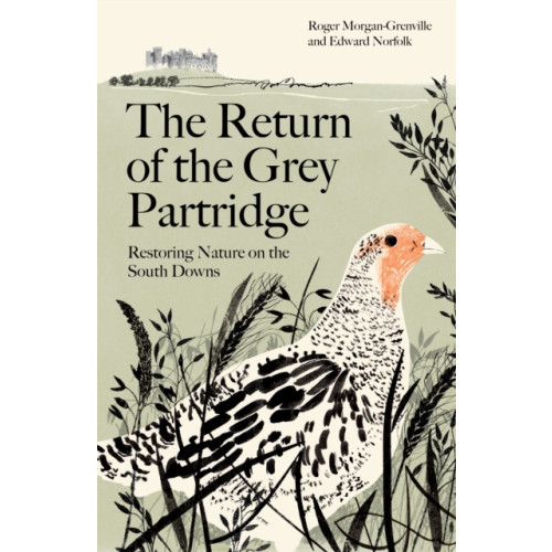 Profile Books Ltd The Return of the Grey Partridge (inbunden)