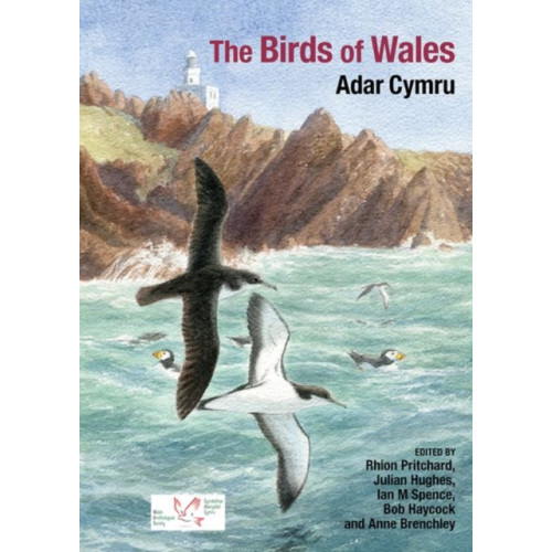 Liverpool University Press The Birds of Wales (inbunden, eng)