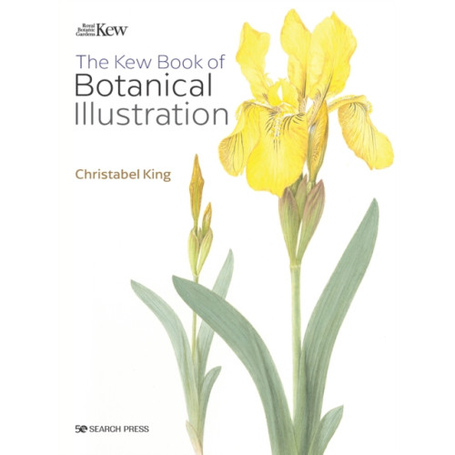 Search Press Ltd The Kew Book of Botanical Illustration (paperback edition) (häftad, eng)