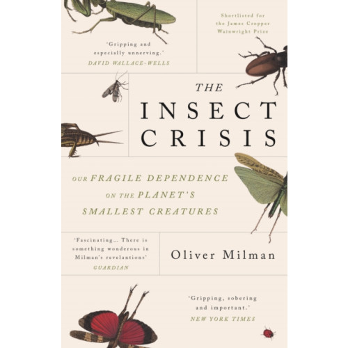 Atlantic Books The Insect Crisis (häftad, eng)