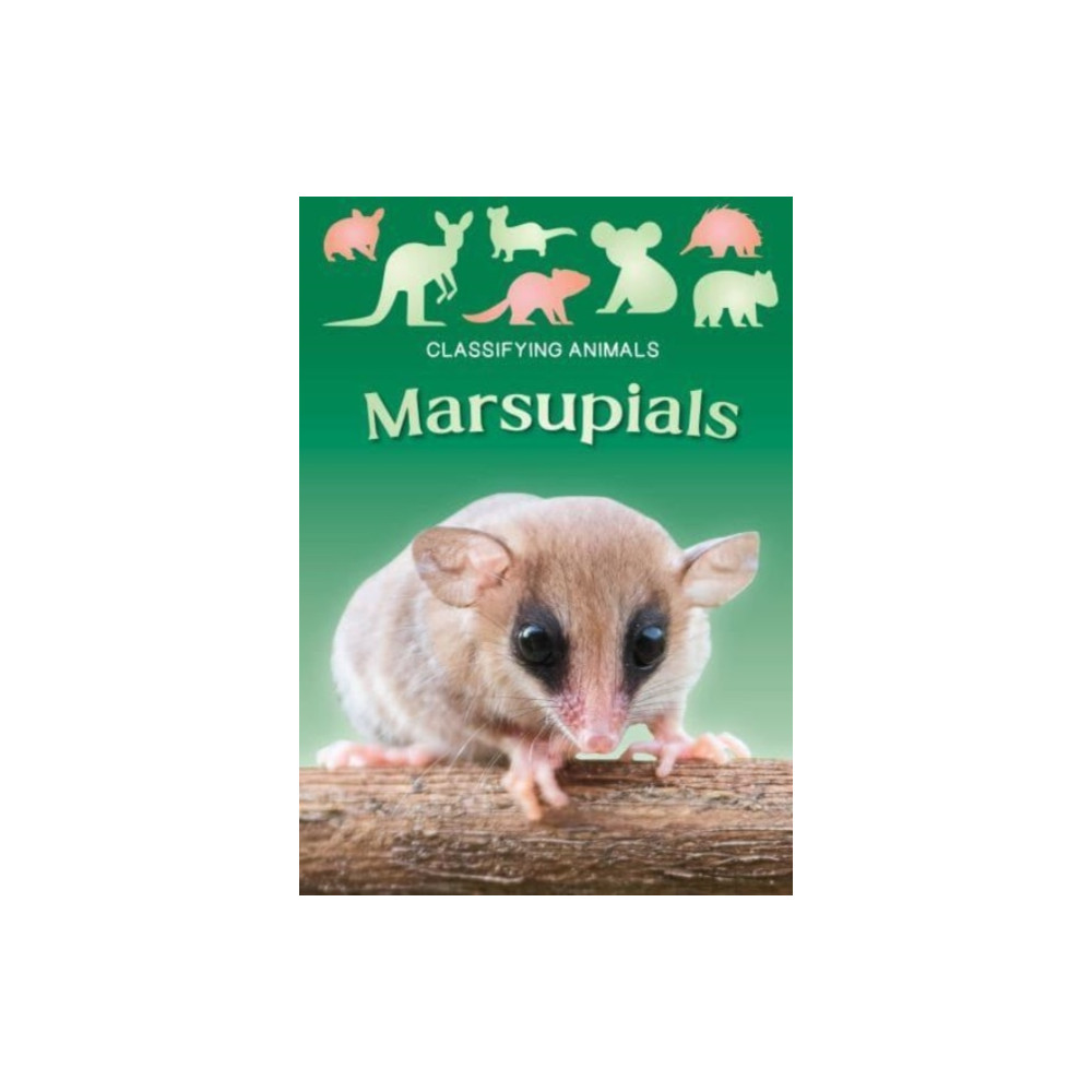 Produktbild för Marsupials (häftad, eng)