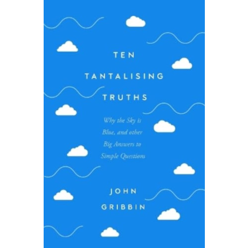 Icon Books Ten Tantalising Truths (inbunden, eng)