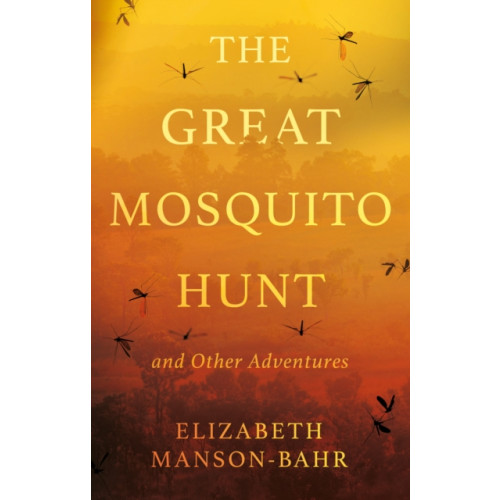 Troubador Publishing The Great Mosquito Hunt and Other Adventures (häftad, eng)