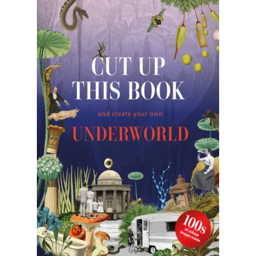 Thames & Hudson Ltd Cut Up This Book and Create Your Own Underworld (häftad, eng)