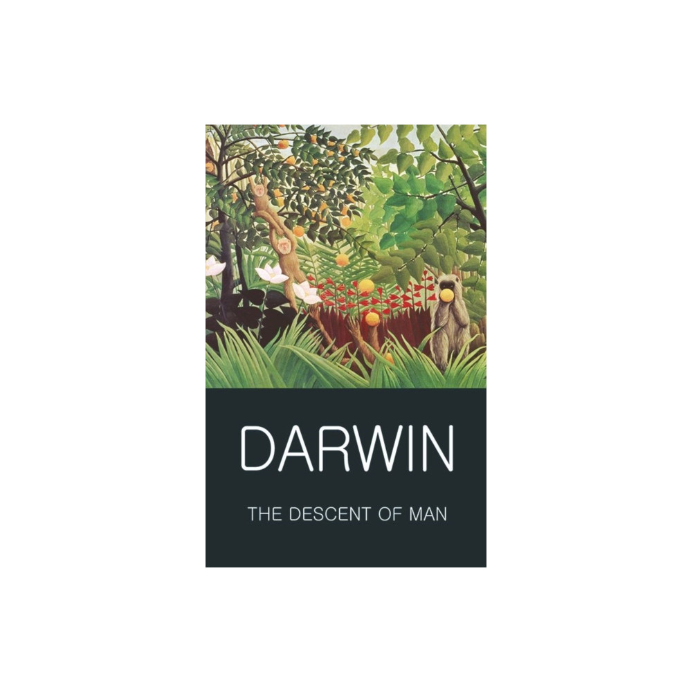 Produktbild för The Descent of Man (häftad, eng)