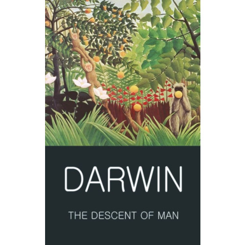 Wordsworth Editions Ltd The Descent of Man (häftad, eng)