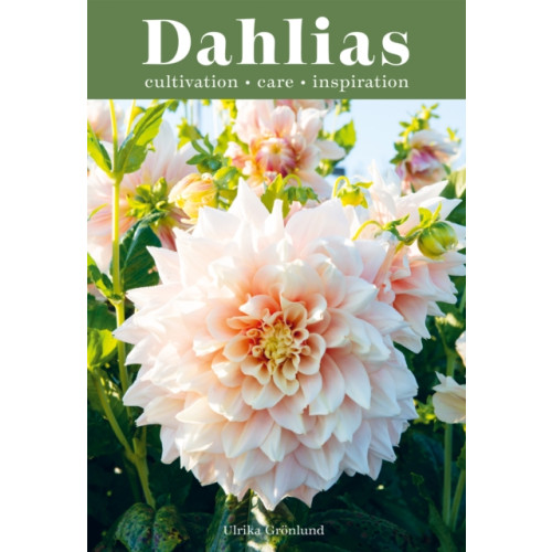 Quadrille Publishing Ltd Dahlias (inbunden, eng)