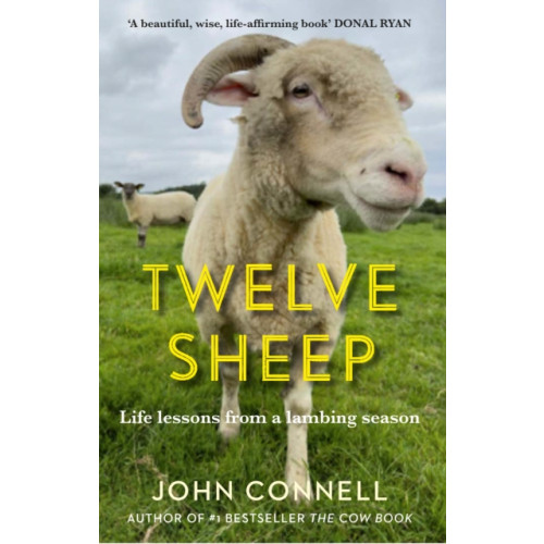 Atlantic Books Twelve Sheep (inbunden)