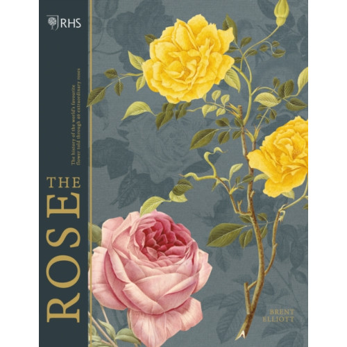 Headline Publishing Group RHS The Rose (inbunden, eng)