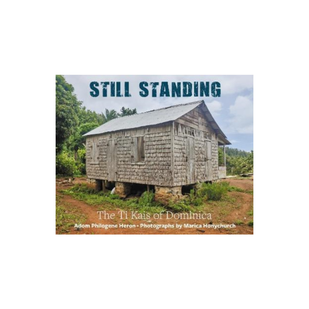 Produktbild för Still Standing (häftad, eng)
