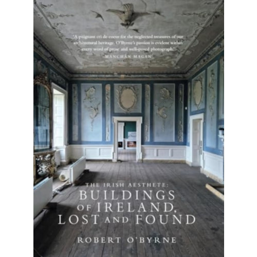 The Lilliput Press Ltd The Irish Aesthete: Buildings of Ireland, Lost and Found (inbunden, eng)