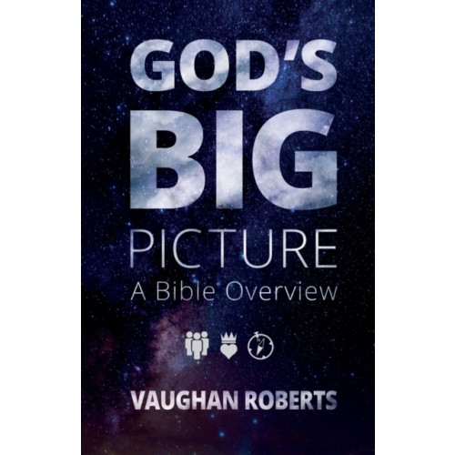 Inter-Varsity Press God's Big Picture (häftad, eng)