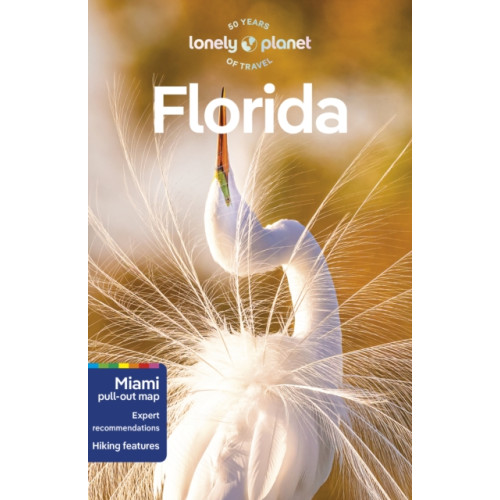 Lonely Planet Global Limited Lonely Planet Florida (häftad, eng)