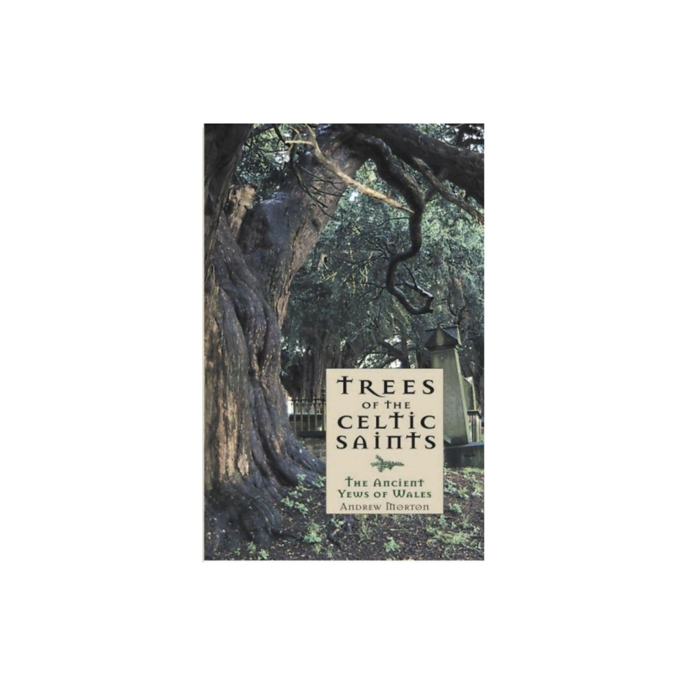 Produktbild för Trees of the Celtic Saints ? The Ancient Yews of Wales (häftad, eng)