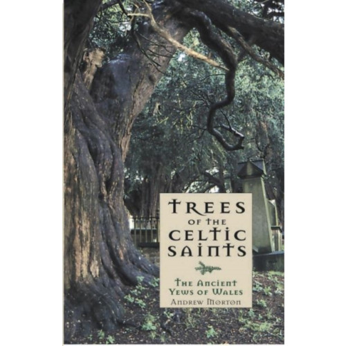 Gwasg Carreg Gwalch Trees of the Celtic Saints ? The Ancient Yews of Wales (häftad, eng)