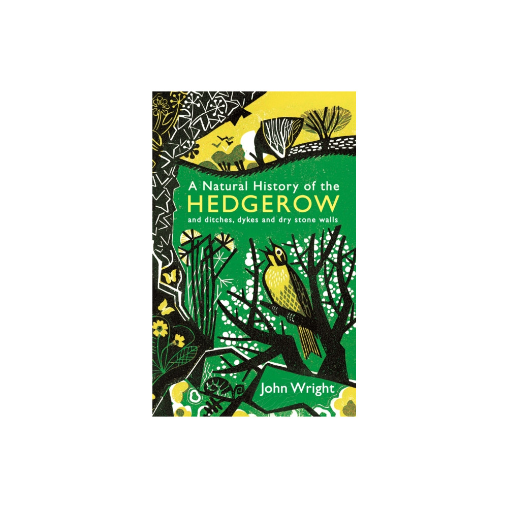 Produktbild för A Natural History of the Hedgerow (häftad, eng)