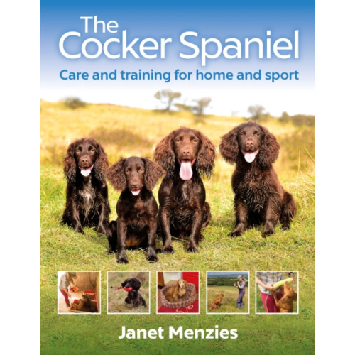 Quiller Publishing Ltd The Cocker Spaniel (häftad, eng)