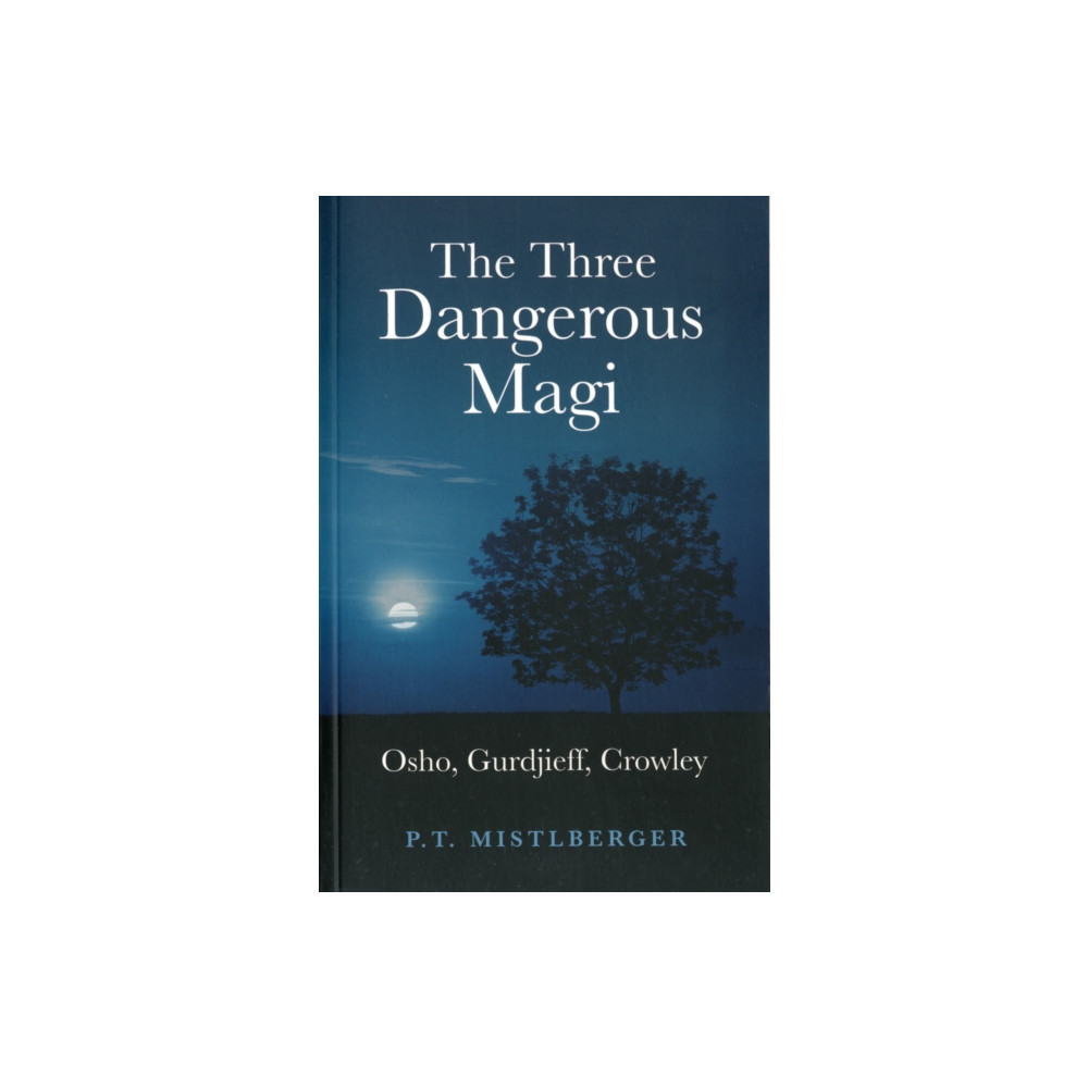 Produktbild för The Three Dangerous Magi (häftad, eng)