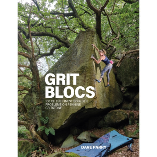 Vertebrate Publishing Ltd Grit Blocs (häftad, eng)