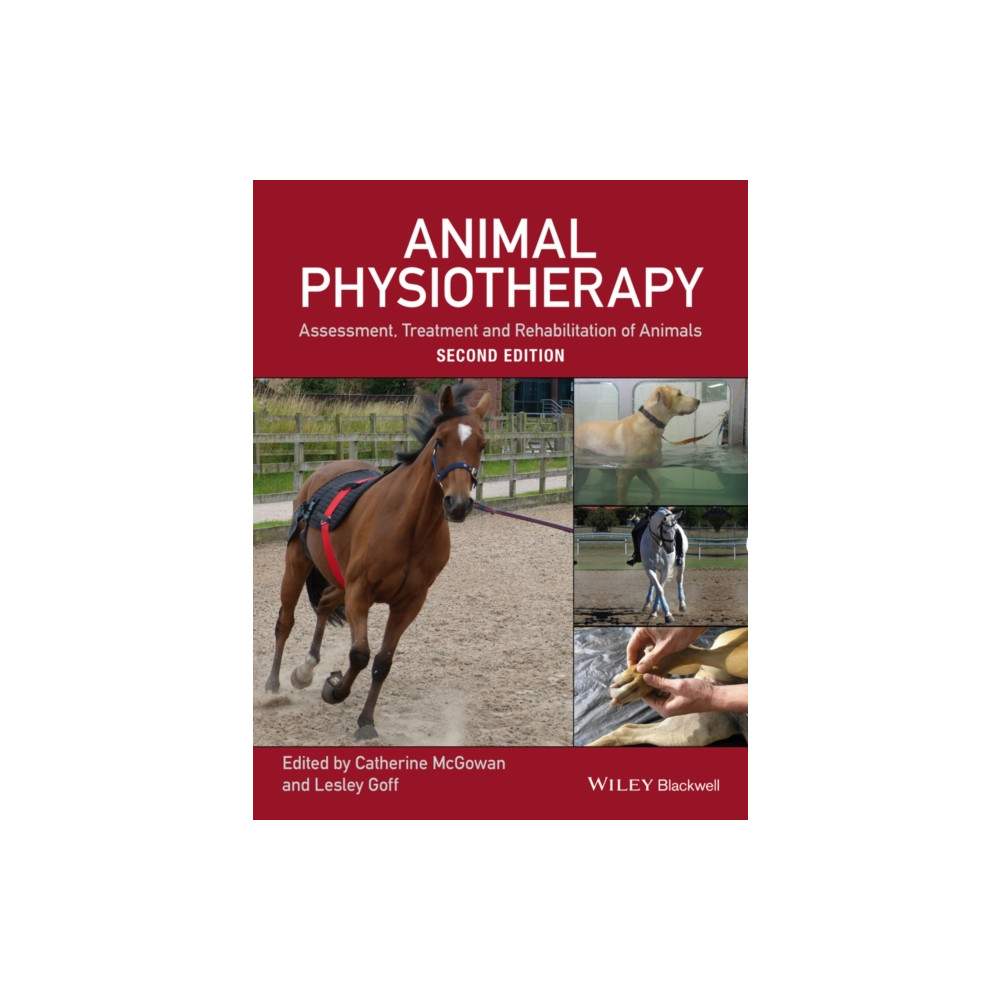 Produktbild för Animal Physiotherapy (häftad, eng)
