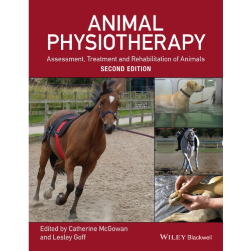 John Wiley And Sons Ltd Animal Physiotherapy (häftad, eng)