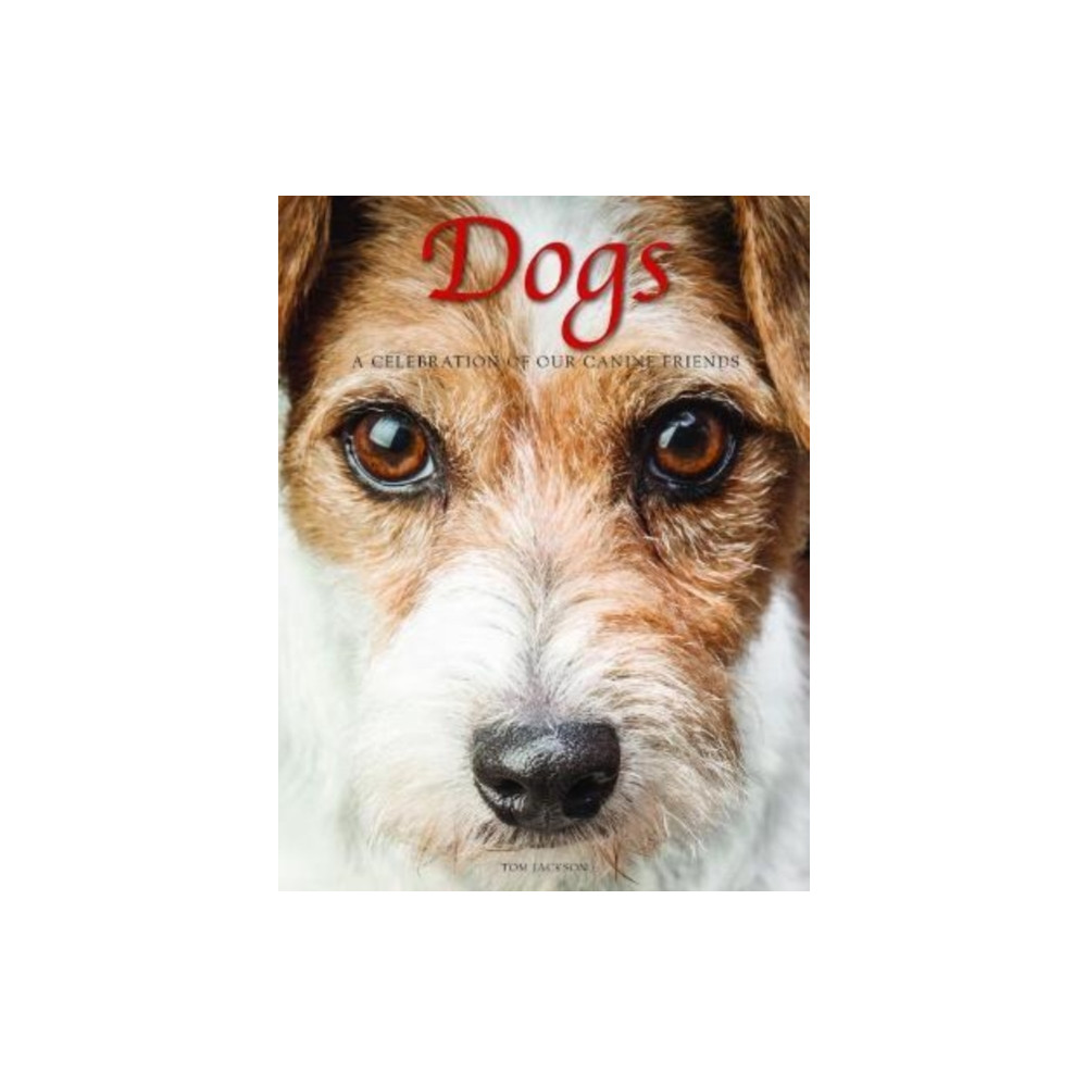 Produktbild för Dogs (inbunden, eng)
