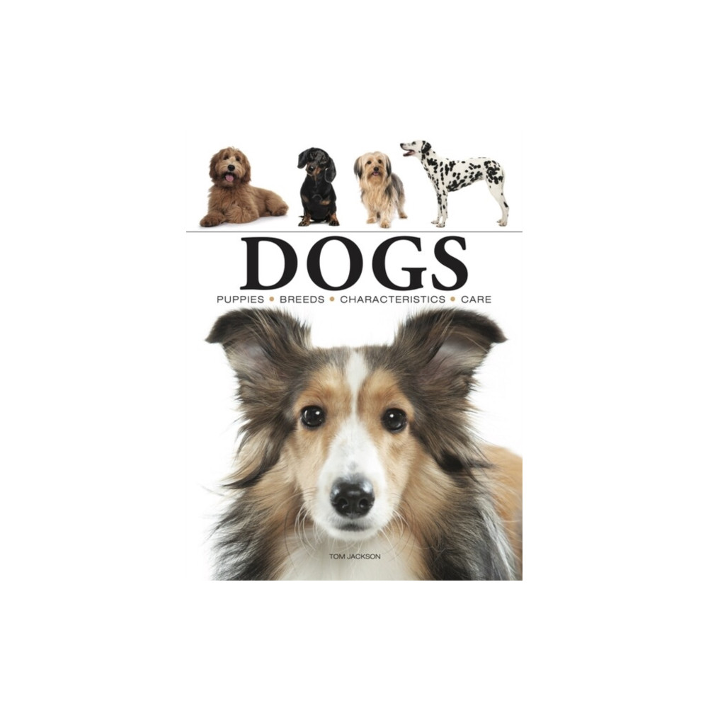 Produktbild för Dogs (häftad, eng)