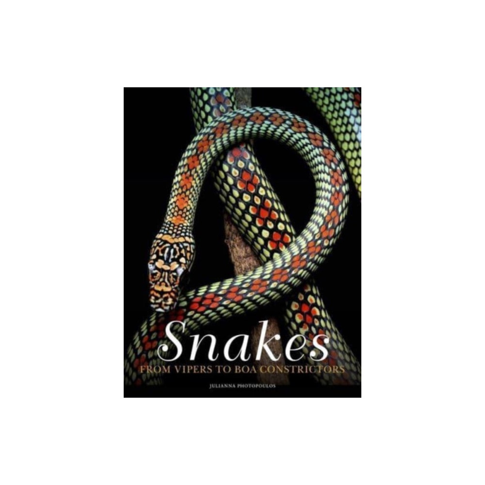 Produktbild för Snakes (inbunden, eng)