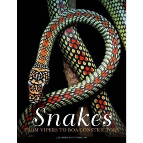 Amber Books Ltd Snakes (inbunden, eng)