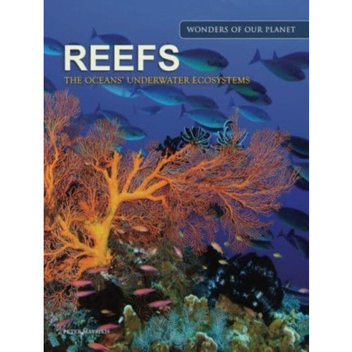 Amber Books Ltd Reefs (inbunden, eng)