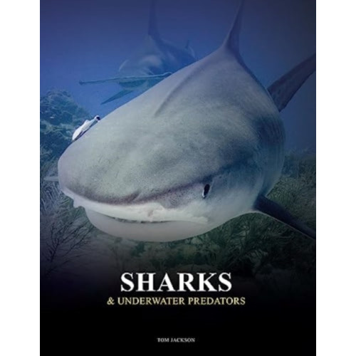 Amber Books Ltd Sharks and Underwater Predators (inbunden, eng)