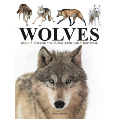 Amber Books Ltd Wolves (häftad, eng)