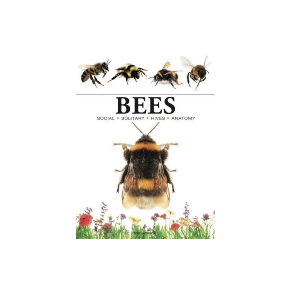 Produktbild för Bees (häftad, eng)