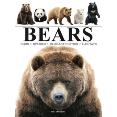 Amber Books Ltd Bears (häftad, eng)