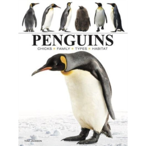 Amber Books Ltd Penguins (häftad, eng)